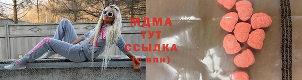 гидра Бородино