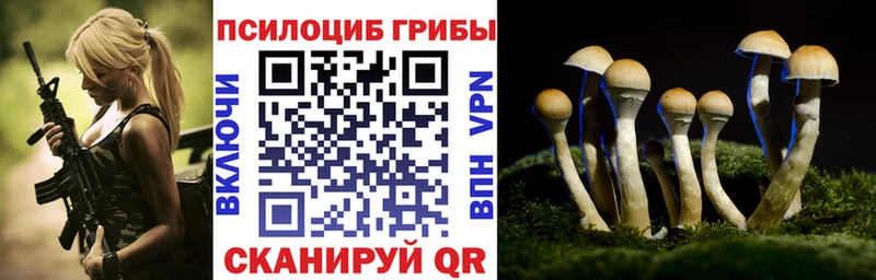 наркотики  Нерчинск  Псилоцибиновые грибы прущие грибы 
